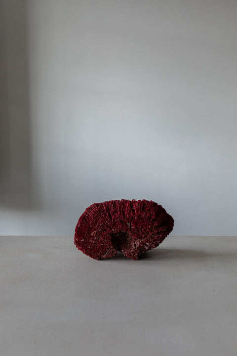 Pipe Organ Coral