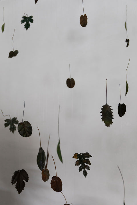 19th Century Leaf Décor, Bay Laurel