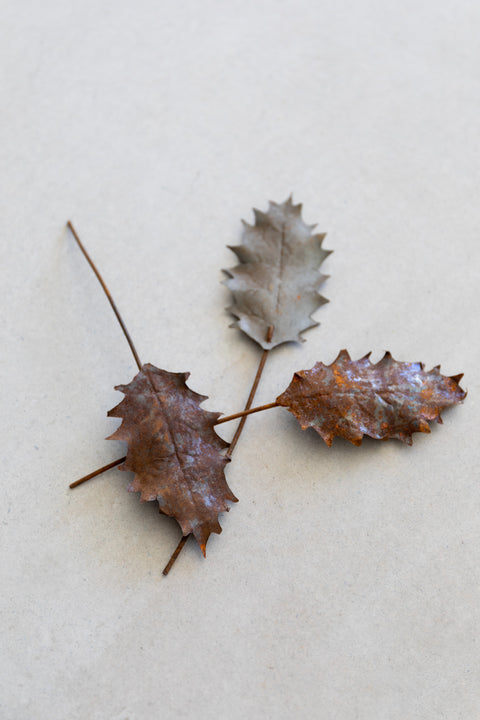 19th Century Leaf Décor, Holly