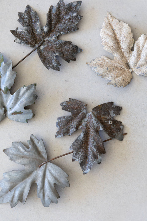 19th Century Leaf Décor, Large Maple