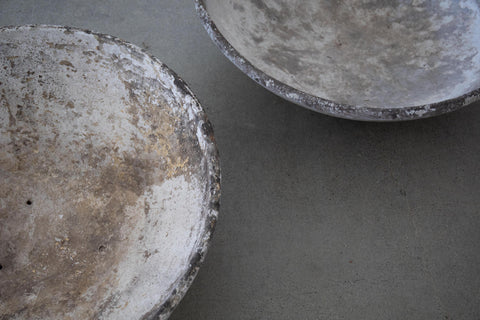 Concrete Bowl Planter