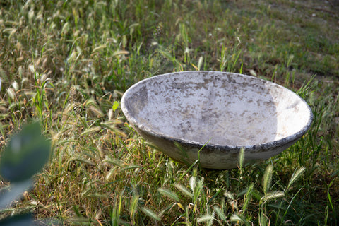 Concrete Bowl Planter