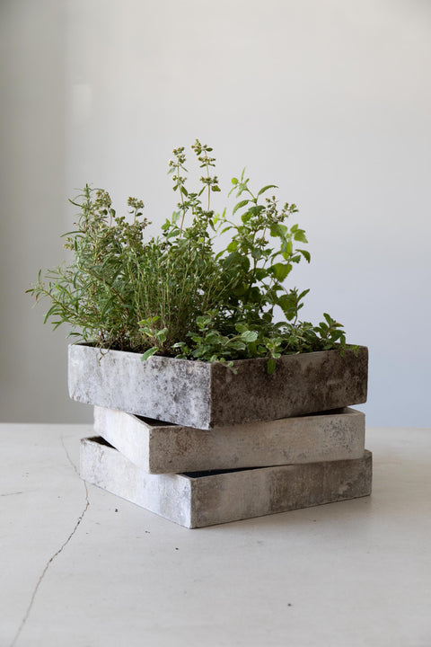 Square Concrete Tray Planters